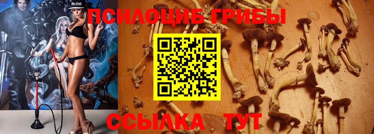 Галлюциногенные грибы ЛСД Анапа